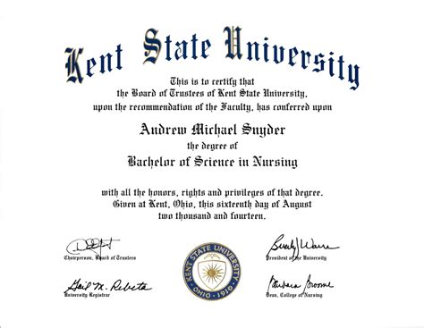 Bachelor of Science in Nursing .